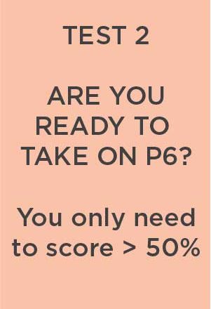 Are you ready for primary 6 test 2